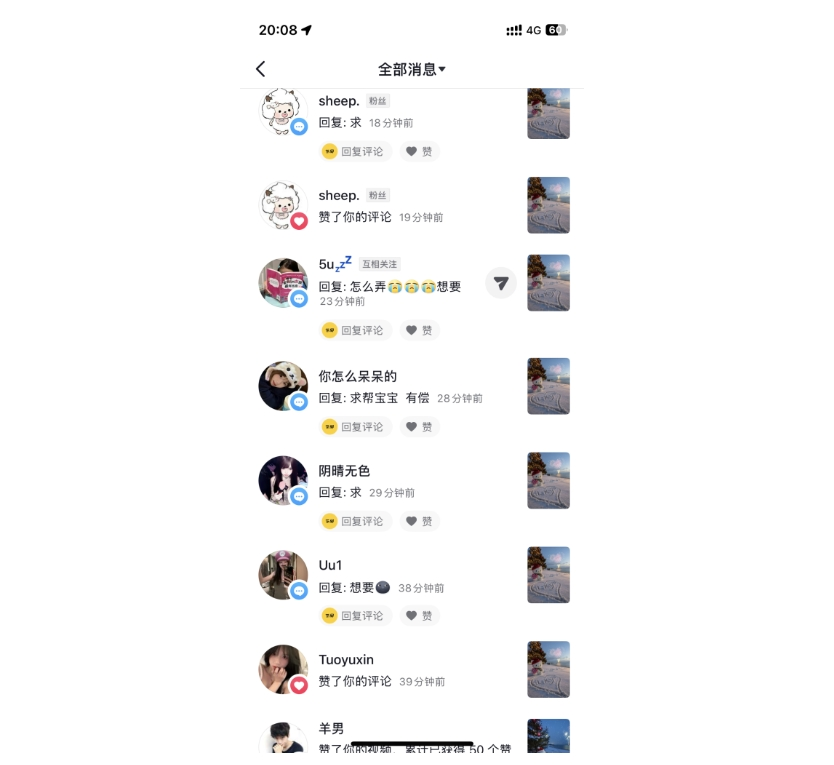 闲鱼卖DIY定制雪景情侣-项目侠
